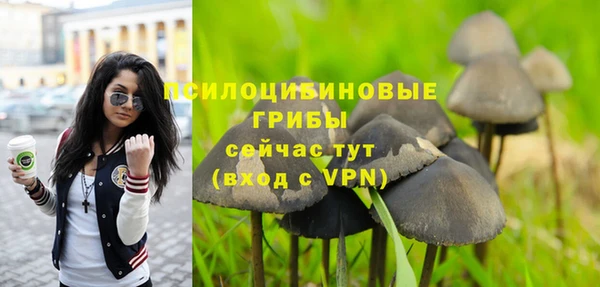mix Богородицк