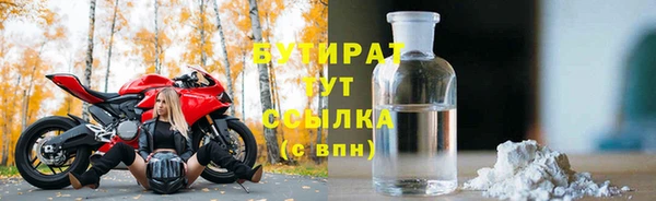 индика Богородск