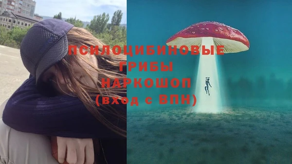 марки lsd Богданович