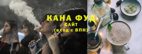 индика Богородск