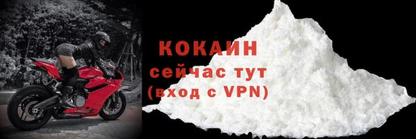 mix Богородицк