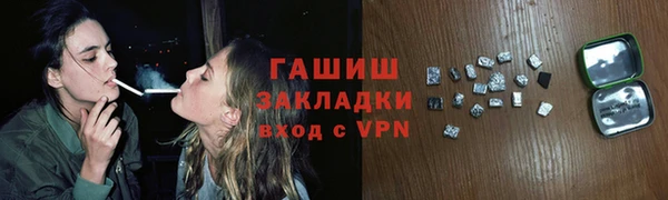 индика Богородск