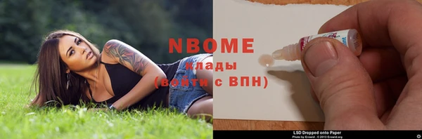 индика Богородск