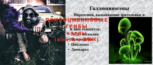 индика Богородск