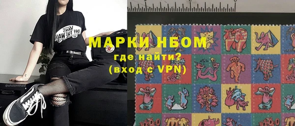 индика Богородск