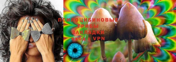 mix Богородицк