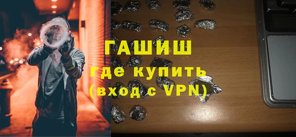индика Богородск