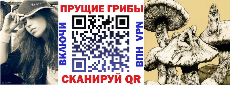 omg рабочий сайт  Волгореченск  Псилоцибиновые грибы мухоморы 